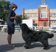 Превью фото № 244661