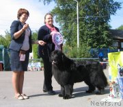 Превью фото № 244662