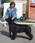 Превью фото № 244665