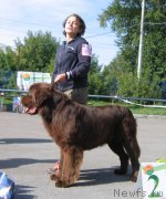 Превью фото № 244666