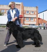 Превью фото № 244667