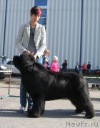 Превью фото № 244668