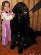 Превью фото № 244705