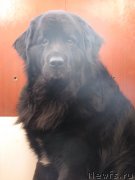 Превью фото № 244706