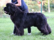 Превью фото № 244740