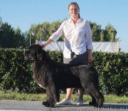 Превью фото № 244745