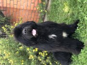 Превью фото № 244749