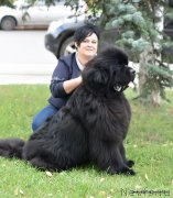 Превью фото № 244758