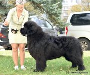 Превью фото № 244767