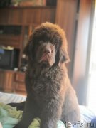 Превью фото № 244775