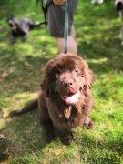 Превью фото № 244776