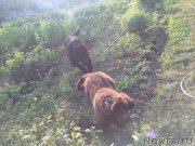 Превью фото № 244822