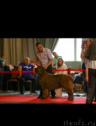 Превью фото № 244826