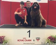 Превью фото № 244833