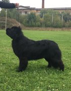 Превью фото № 244854