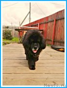 Превью фото № 244857