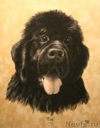 Превью фото № 244890