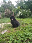 Превью фото № 244892