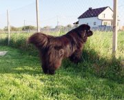 Превью фото № 244894