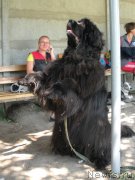 Превью фото № 244920