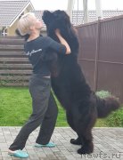 Превью фото № 244936