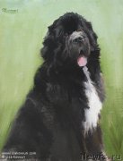 Превью фото № 244974