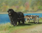 Превью фото № 244975