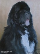 Превью фото № 244976