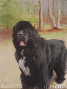 Превью фото № 244979