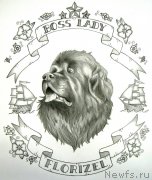 Превью фото № 245009