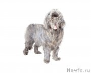 Превью фото № 245014