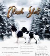 Превью фото № 245036