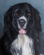 Превью фото № 245040