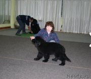 Превью фото № 245055