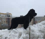 Превью фото № 245057