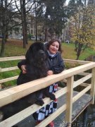 Превью фото № 245083