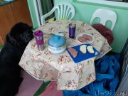 Превью фото № 245100