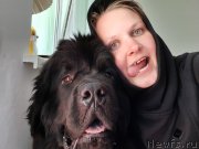 Превью фото № 245101