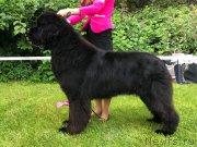 Превью фото № 245104