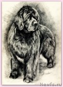 Превью фото № 245114