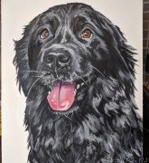 Превью фото № 245145