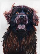 Превью фото № 245148