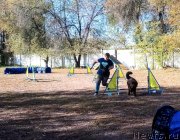 Превью фото № 245175