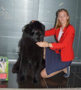 Превью фото № 245177