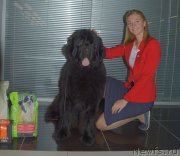 Превью фото № 245179