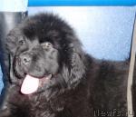 Превью фото № 24533