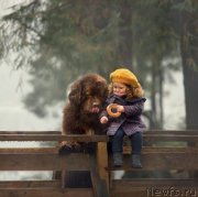 Превью фото № 245375