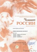 Превью фото № 245412