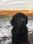 Превью фото № 245415