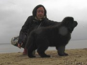 Превью фото № 245423